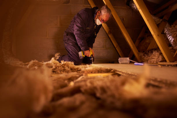 Eco-Friendly or Green Insulation Solutions in Demopolis, AL